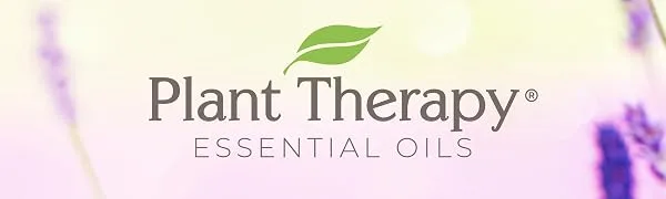 Plant Therapy Pumpkin Spice Fall Essential Oil Blend 10 mL (1/3 oz) 100% Pure, Undiluted, Therapeutic Grade - plant therapy pure essential oils