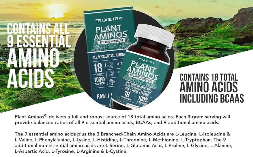 Plant Aminos Organic Essential Amino Acids (EAAs) & BCAA - 100% Plant-Based Raw, Vegan - All 9 Essential Amino Acids with 18 Total Amino Acids (360 Tablets) - amino acids, essential amino acids, BCAA, EAA, BCAAs, branch chained amino acids