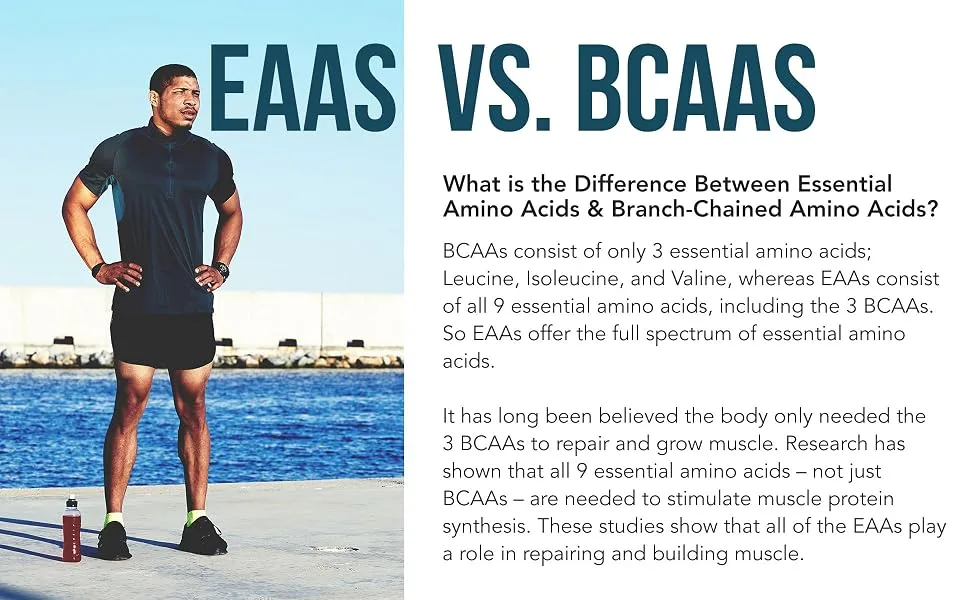 Plant Aminos Organic Essential Amino Acids (EAAs) & BCAA - 100% Plant-Based Raw, Vegan - All 9 Essential Amino Acids with 18 Total Amino Acids (360 Tablets) - amino acids, essential amino acids, BCAA, EAA, BCAAs, branch chained amino acids