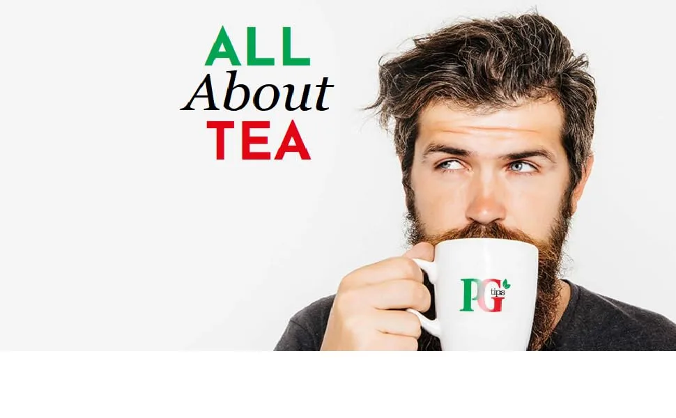PG Tips Black Tea, Pyramid Tea Bags, 240-Count Box (Pack of 2) - product information 1