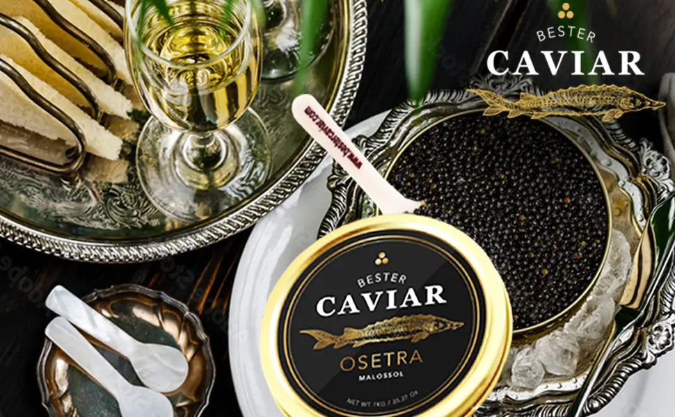 OVERNIGHT GUARANTEED, BESTER Premium Osetra Sturgeon Black Caviar - (1.76 oz (50g)) - Malossol Ossetra Black Roe - Premium Quality, Traditional Style, imported - Bester Caviar best caviar russian sturgeon osetra malossol