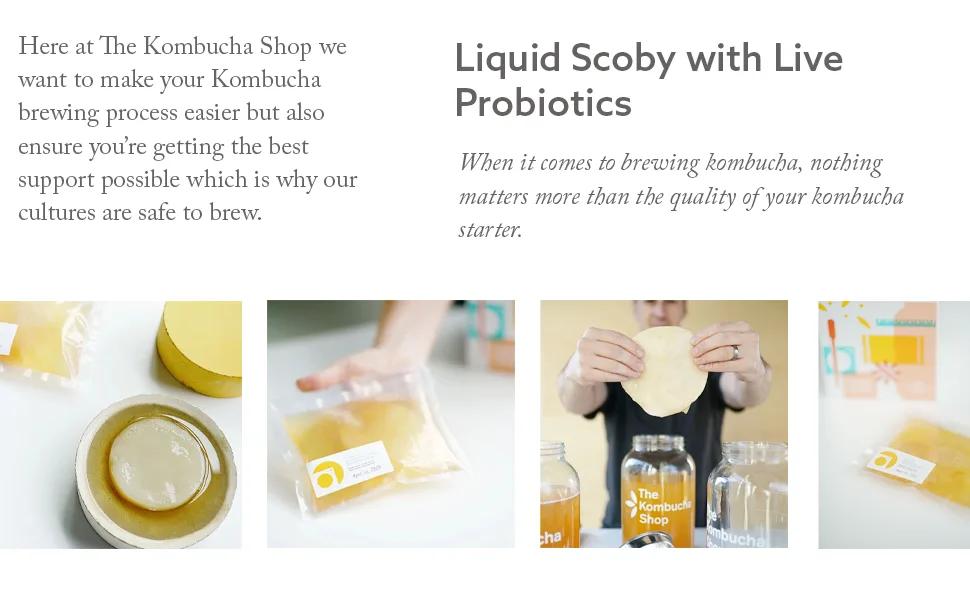 Organic SCOBY Kombucha Starter Kit with Live Culture and Brewing Liquid for Fermented Tea - The Kombucha Shop - kombucha