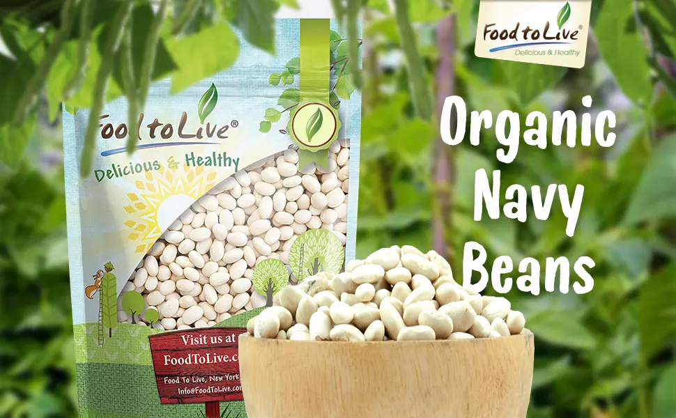 Organic Navy Beans, 15 Pounds - Non-GMO, Kosher, Raw, Vegan, Bulk 15 Pound (Pack of 1) - product information 2