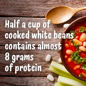 Organic Navy Beans, 15 Pounds - Non-GMO, Kosher, Raw, Vegan, Bulk 15 Pound (Pack of 1) - product information 3