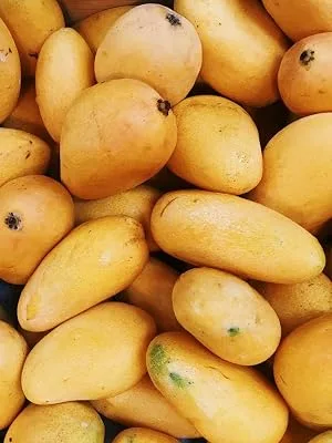 Organic Mango Cheeks by Food To Live (Dried, Non-GMO, Kosher, Unsulphured, Unsweetened, Bulk)  3 Pounds 3 Pound (Pack of 1) - mango