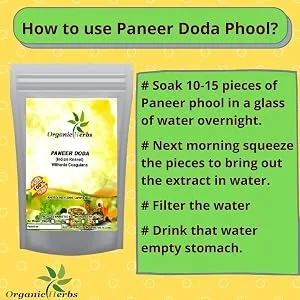 Organic herbs Ayurvedic Herbal Indian Rennet | Paneer Doda | Paneer ka Phool | Withania Coagulans (1kg) - paneer doda phool
