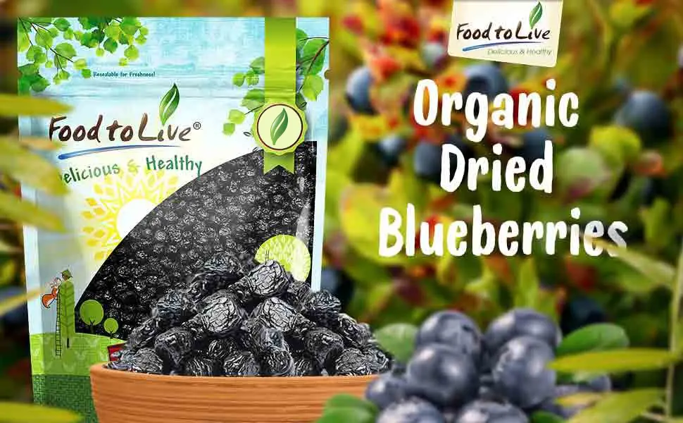 Organic Dried Blueberries, 2 Pounds - Non-GMO, Kosher, Raw, Vegan, Unsulfured, Bulk - product information 2