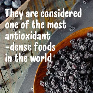 Organic Dried Blueberries, 2 Pounds - Non-GMO, Kosher, Raw, Vegan, Unsulfured, Bulk - product information 3