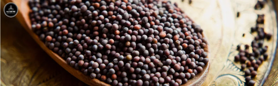 Organic Black Mustard Seed (1lb) by Naturevibe Botanicals, Gluten-Free & Non-GMO (16 ounces) - black mustard seed