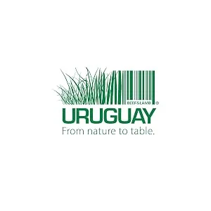 Organic 100% Grass-Fed Ribeye Steak, 10oz - product information 2