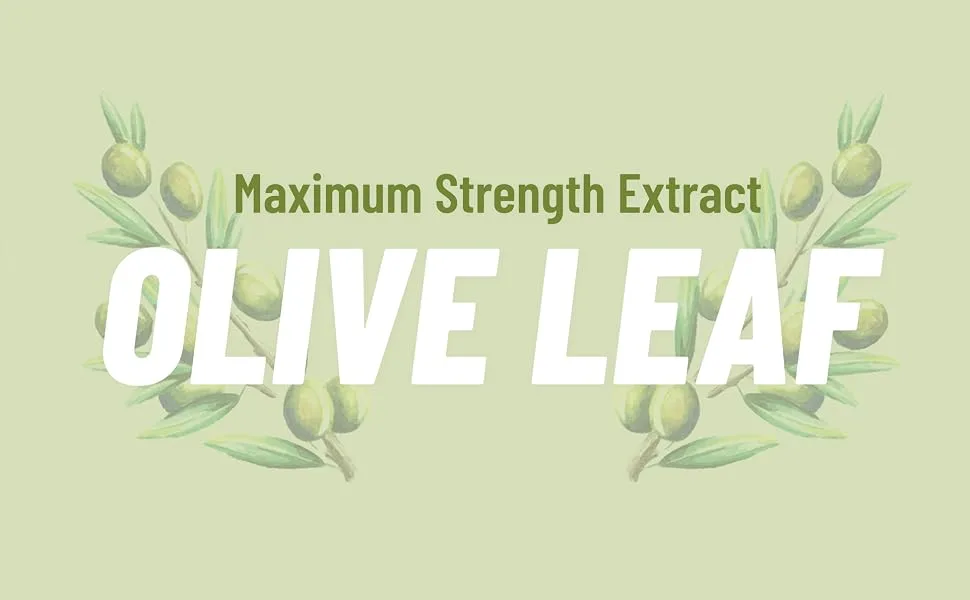 Olive Leaf Extract Capsules - Super Strength 40% Oleuropein for Blood Pressure Support, Improve Digestion, Antioxidant Boost Supplement, Improve Brain Function, Anti-Inflammatory Aid (60 Capsules) - maximum strength extract