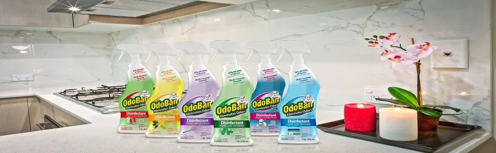 OdoBan 1 Gal 3-in-1 Carpet Cleaner, 2-Pack - Odoban