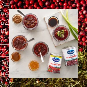 Ocean Spray Whole Berry Cranberry Sauce, 14 Ounce Can - unspecified