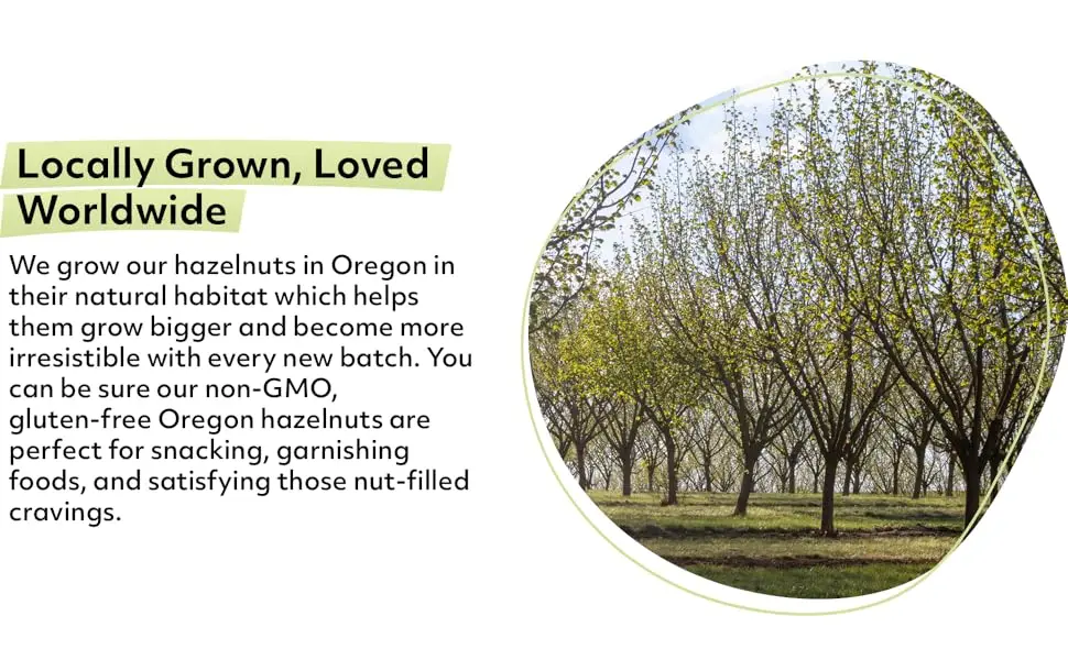 NUTS U.S. - Oregon Hazelnuts (Filberts) | Raw and Unsalted | Steam Pasteurized and NON-GMO | No Shell - Just Kernels | JUMBO SIZE | Packed in Resealable Bags!!! (4 LB) 4 Pound (Pack of 1) - Locally Grown Oregon Hazelnuts