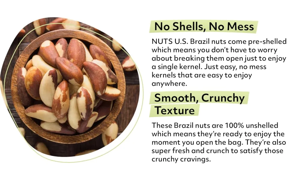 NUTS U.S.  Brazil Nuts | Shelled Whole Kernels | Raw and Unsalted | Non-GMO and Steam Pasteurized | Packed In Resealable Bags!!! (1 LB) 1 Pound (Pack of 1) - Brazil Nuts Shelled Raw Unsalted No Shell Crunchy Texture