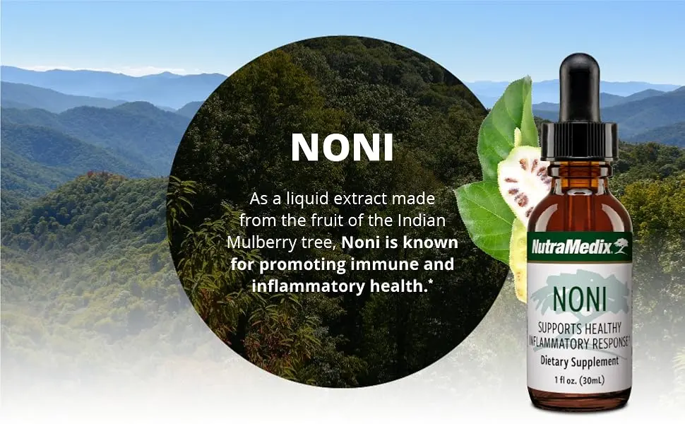 NutraMedix Noni Plant Drops - Liquid Herbal Supplement to Support a Healthy Immune System, Inflammatory Response & Microbial Support with Bioavailabile Mulberry Fruit Extract (1oz / 30ml Liquid) - noni