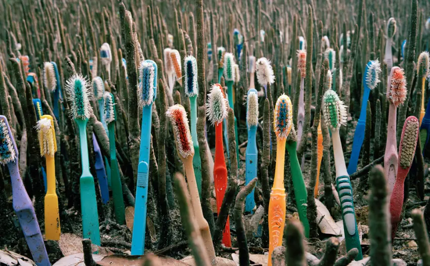 Nuduko Biodegradable Bamboo Toothbrushes, 10 Piece BPA Free Soft Bristles Toothbrushes, Natural, Eco-Friendly, Green and Compostable - toothbrushes
