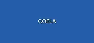 COELA's Overnight Lash Conditioning Mask with Castor Oil Vitamin B7 Vitamin B5 Algae Extract | Dermatologist Approved Naturally Derived Ingredients Vegan | Dry Down Technology - COELA