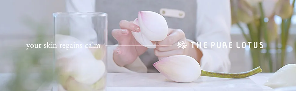 Jeju Botanical PH Balancing Cleanser 200ml purelotus - brand