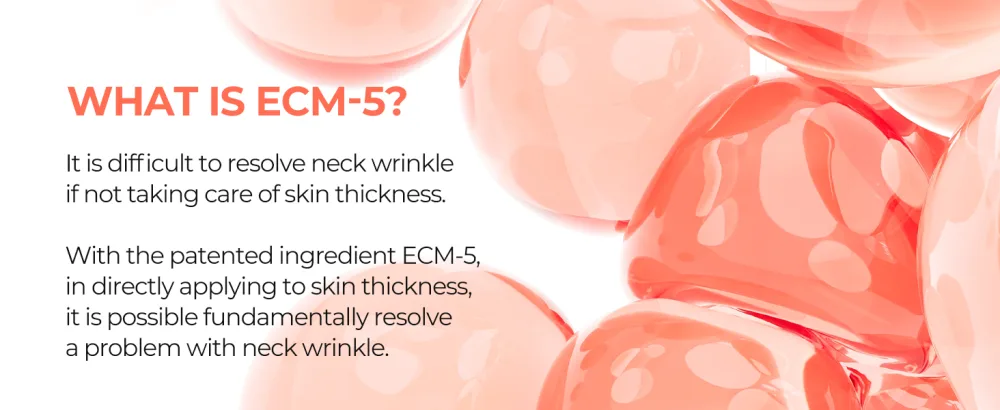 Necksphalt Neck ECM Barrier Cream 50ml - Necksphalt Ampoule