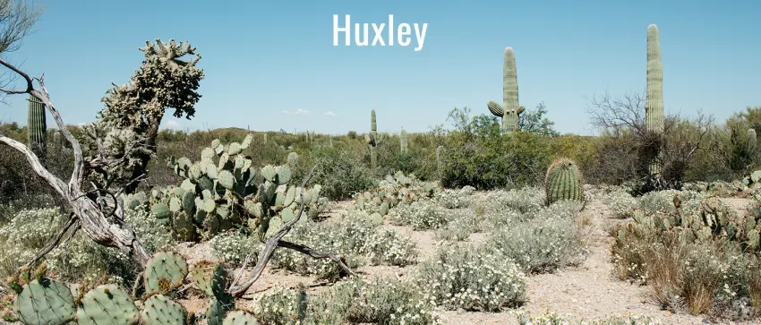 Huxley REFRAMING AMPOULE SUPER BLOOM - Huxley