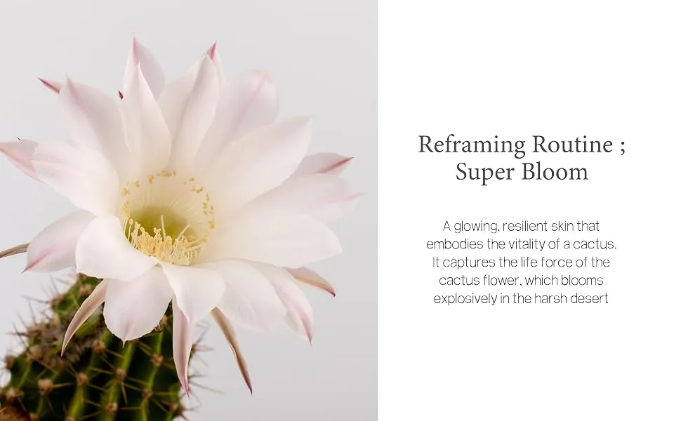 Huxley REFRAMING AMPOULE SUPER BLOOM - product information 18