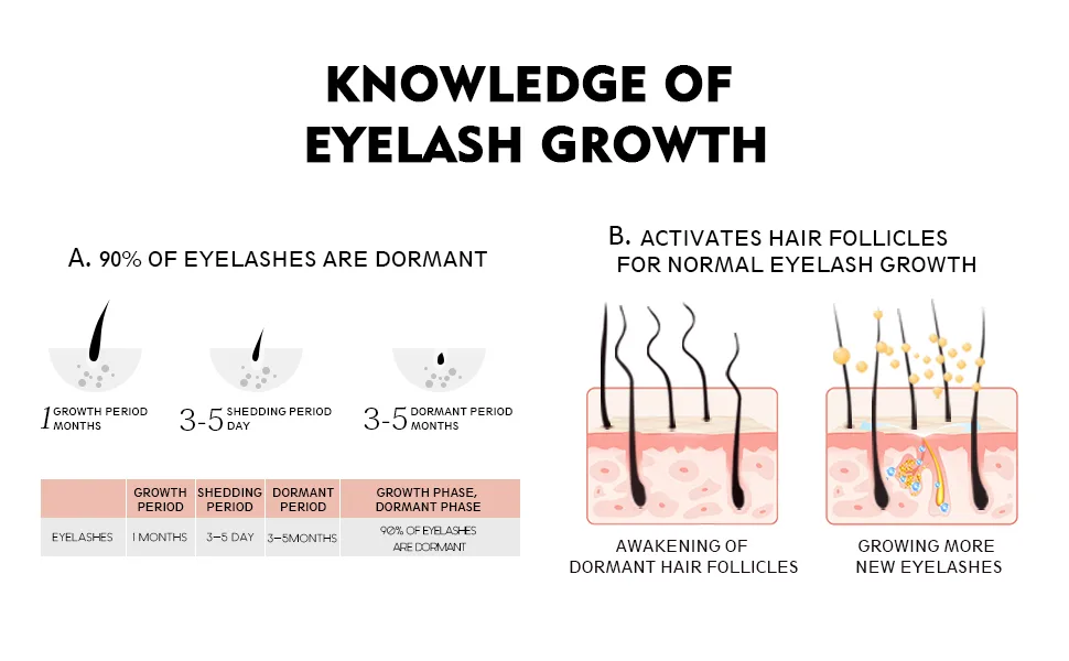 Eyelash Growth Serum 5ML Lash Serum for Longer and Thicker Eyelashes Rapid-onset (Base) - eyelash serum