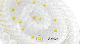 ZITBACK - Body Spray for Acne-Prone Skin - ACTIVE_COMPONENT