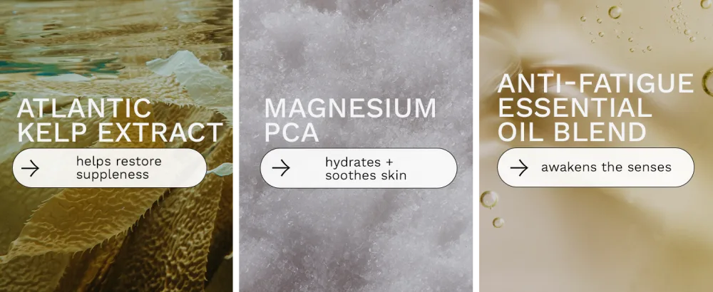 REN Clean Skincare - A Gift for Everybody - atlantic kelp extract magnesium pca anti-fatigue essential oil blend