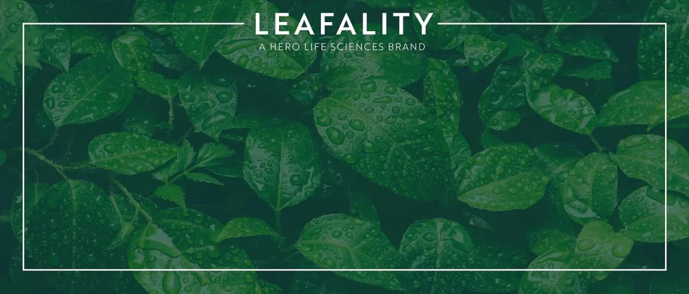Salon Grade Daily Plant Based Conditioner Natural Ingredient Solutions Sulfate Free & Vegan (Smoothing) - Leafality, A Hero Life Sciences Brand, Green Leaves with water droplets