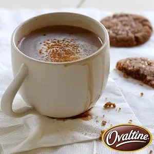 Nestle Ovaltine Chocolate Rich Chocolate Mix, 12 oz - Warm Memories