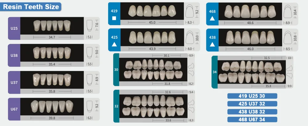 Dental Synthetic Resin Teeth A2 A3 False Upper Lower Teeth Replacement Dentures for Halloween (A2 Full Set 438+U38+32) Full Set 438+U38+32 A2 - size
