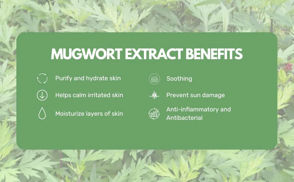 ROUND LAB Mugwort Calming Sheet Mask (Unscented) | Calm irritated skin Soothing care Hydration lock Cooling effect (10ea) - Mugwort toner