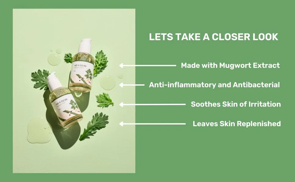 ROUND LAB Mugwort Calming Serum | Soothing Refreshing Mugwort Extract Serum Formulated with 4-CICA Relieving redness (1.69fl.oz) - Mugwort Serum
