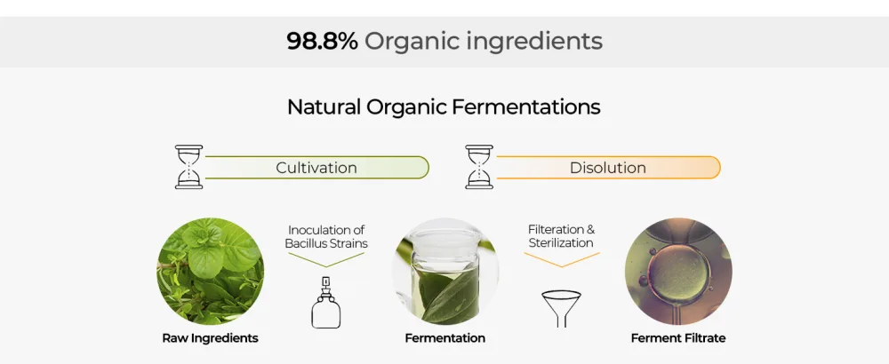 Whamisa Organic Seed Hydrogel Mask Set (5EA) - 98.8% Organic Ingredients Whamisa