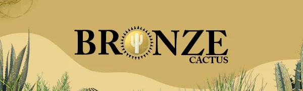 Caramel Cream Tanning Mousse | Easy Application & Instant Gratification | Dries Immediately Without Leaving You Sticky | Non-Scented Streak Free - Bronze cactus