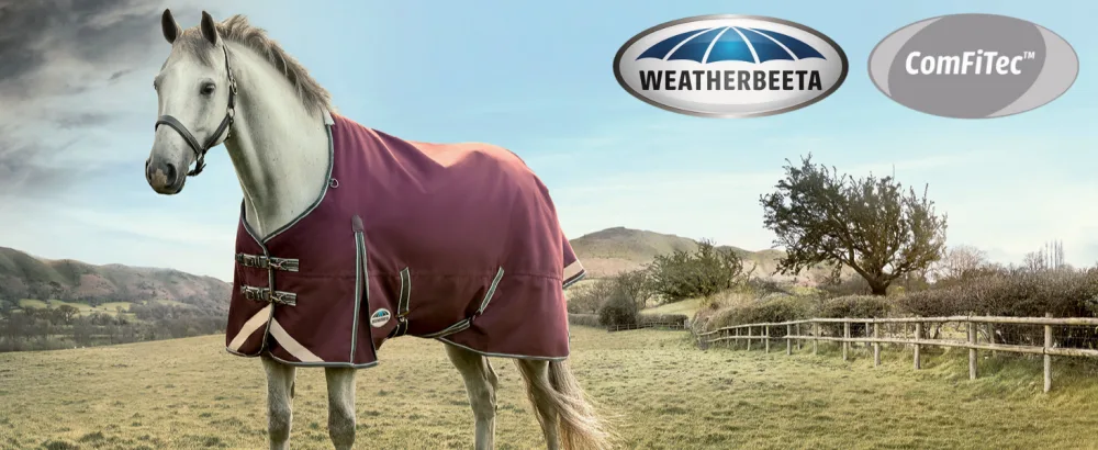 Weatherbeeta Stretch Bug Eye Saver with Eyes - Turquoise/Black Mask Size - Pony Mask Size - Pony Pony Turquoise/Black - Weatherbeeta Spring Summer 2024 Image of horse with blanket