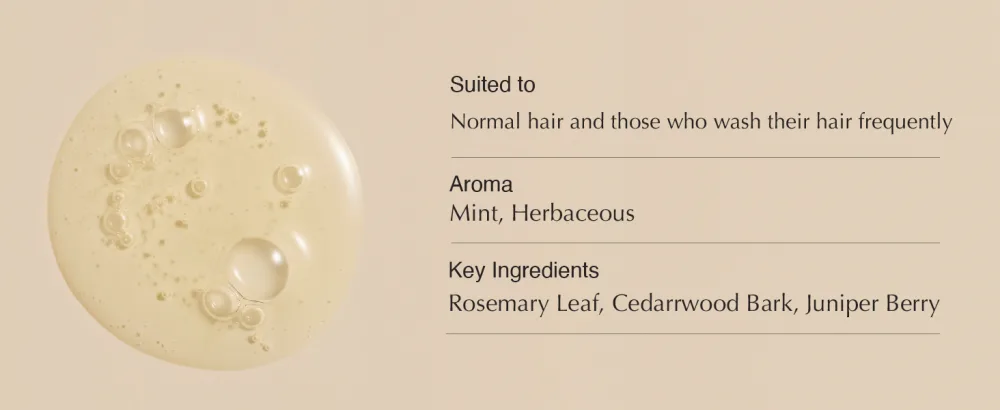 Aesop Classic Shampoo & Conditioner | Hydrates and Softens Hair | Paraben Cruelty-free & Vegan | 16.9 oz - Classic Shampoo