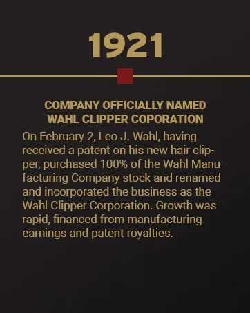 Wahl Professional - All-In-One Replacement Detachable Blade for Big Mag Electric Hair Clippers - product information 5