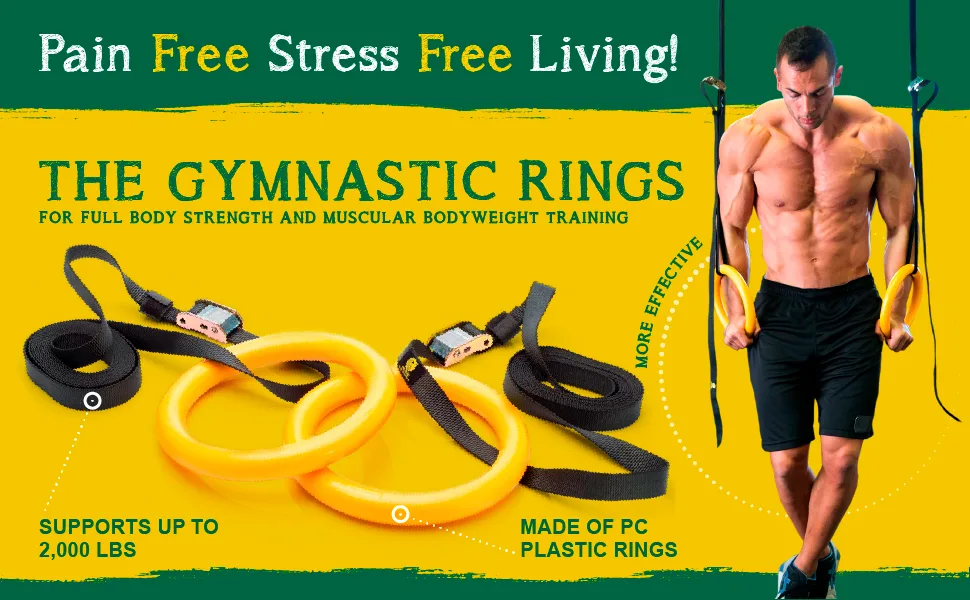 NAYOYA Gymnastic Rings Workout Set with Adjustable Straps for Full Body Strength Training and Bodyweight Crossfit Exercise - product information 2
