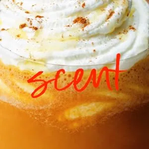 Tree Hut Pumpkin Spice Latte Shea Sugar Exfoliating & Hydrating Body Scrub 18 oz. - Tree Hut PSL scrub Scent