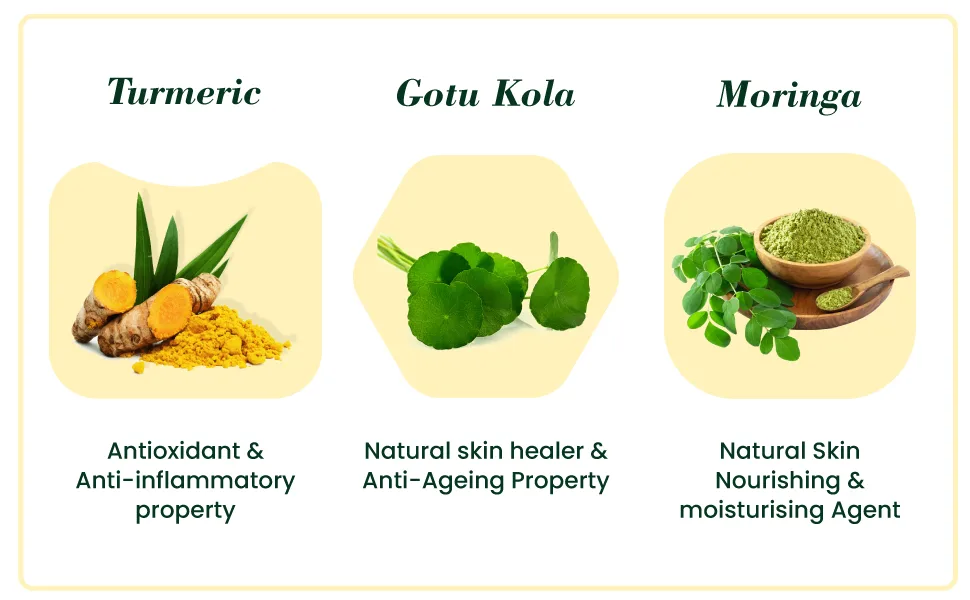 Turmeric Healing Face Wash 100 ml - product information 3