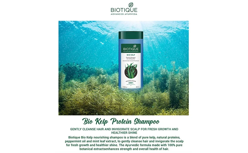 Biotique Bio Kelp Protein Shampoo for Falling Hair Intensive Hair Regrowth Treatment 180ml Ocean kelp 180ml - product information 1