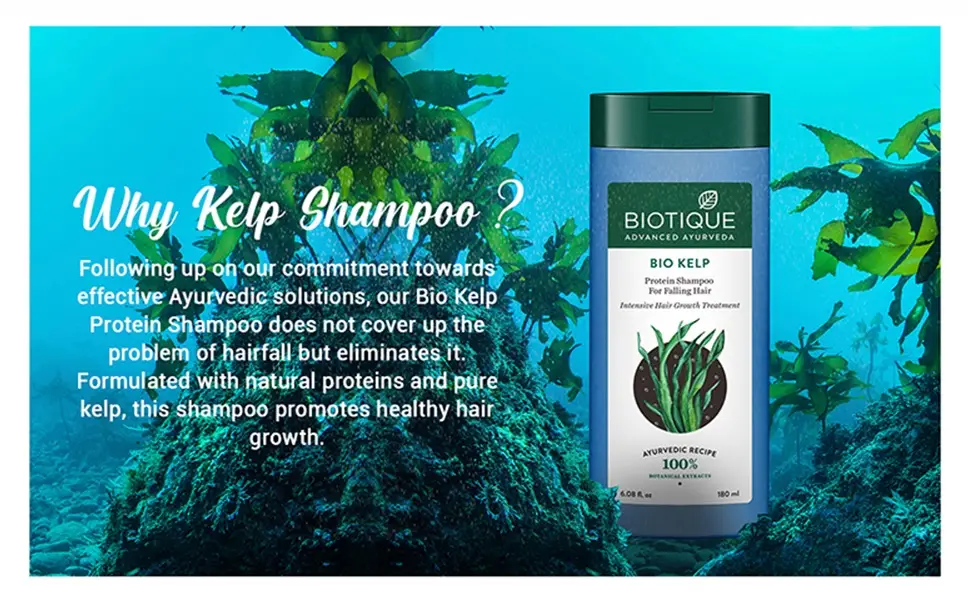 Biotique Bio Kelp Protein Shampoo for Falling Hair Intensive Hair Regrowth Treatment 180ml Ocean kelp 180ml - product information 2