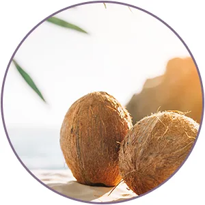 WOW Coconut Milk No Sulphate Parabens Silicones Salt andColour Shampoo 300mL - product information 4