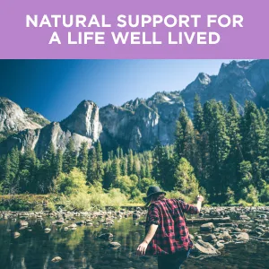 NatureWise Garlic Odorless Softgels 1500mg Support for Cardiovascular Function & Immune System Health with Antioxidants & Bee Pollen for Everyday Wellness, Black, 60 Count - Natural Support for a Life Well Lived