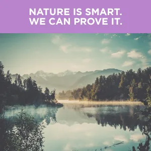 NatureWise Garlic Odorless Softgels 1500mg Support for Cardiovascular Function & Immune System Health with Antioxidants & Bee Pollen for Everyday Wellness, Black, 60 Count - Nature is smart. We can prove it.