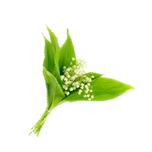 Perfumed Shower Gel Charming 250ml - product information 6