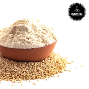 Naturevibe Botanicals Organic Quinoa Flour, 2lbs | Non-GMO and Gluten Free | Protein Rich packaging may vary - Quinoa Flour