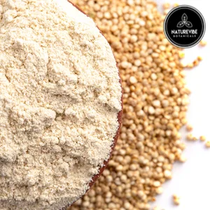 Naturevibe Botanicals Organic Quinoa Flour, 2lbs | Non-GMO and Gluten Free | Protein Rich packaging may vary - Quinoa flour